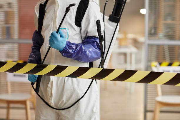 Professional Sewage Cleanup technician working in Thornton, PA